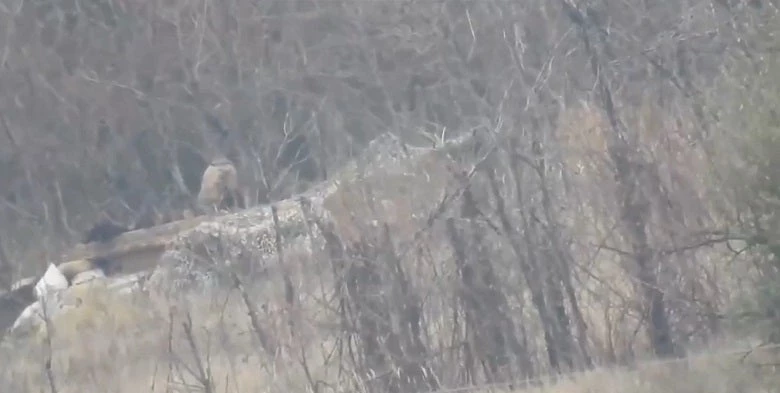 Ρώσος ελεύθερος σκοπευτής ανατινάζει Ουκρανό με χρήση πυρομαχικών εκρηκτικής διάτρησης